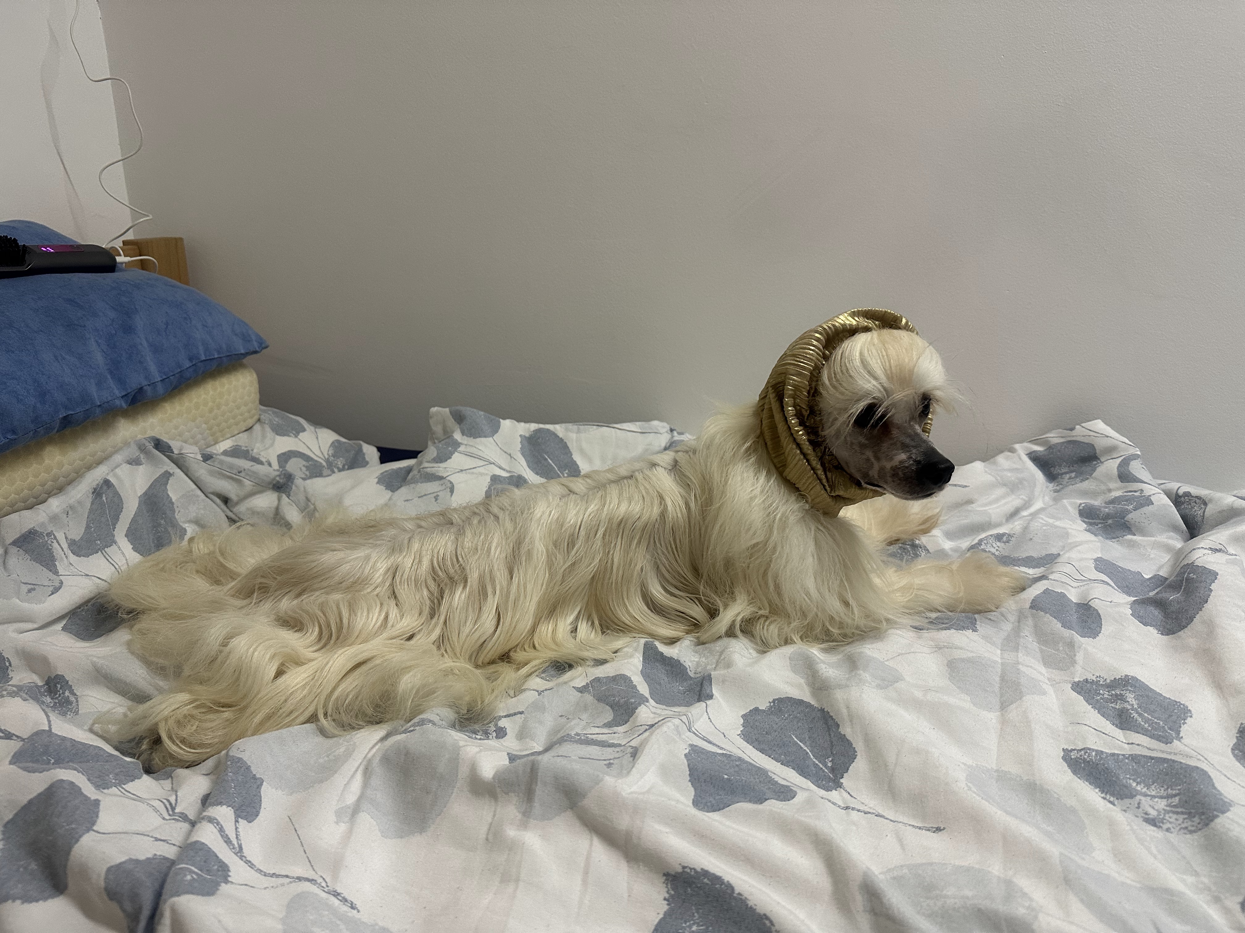 10. Okt. 2025 - vor den Ausstellungen in Serbien