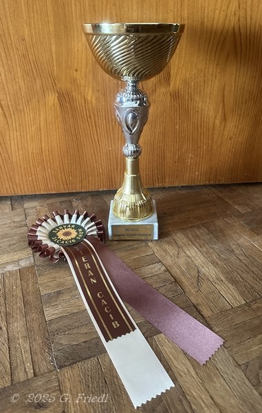 Veteran Champion Hungary - July 19, 2025