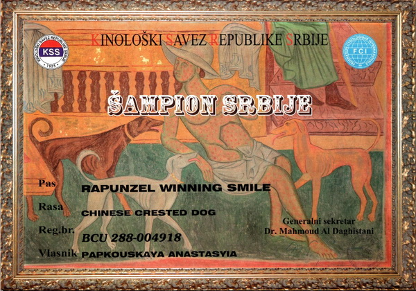 30. Okt. 2025 - Urkunde Schönheits-Champion Serbien