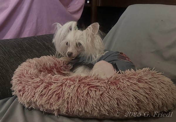 Memy nearly 14,5 years Memy nearly 14,5 years