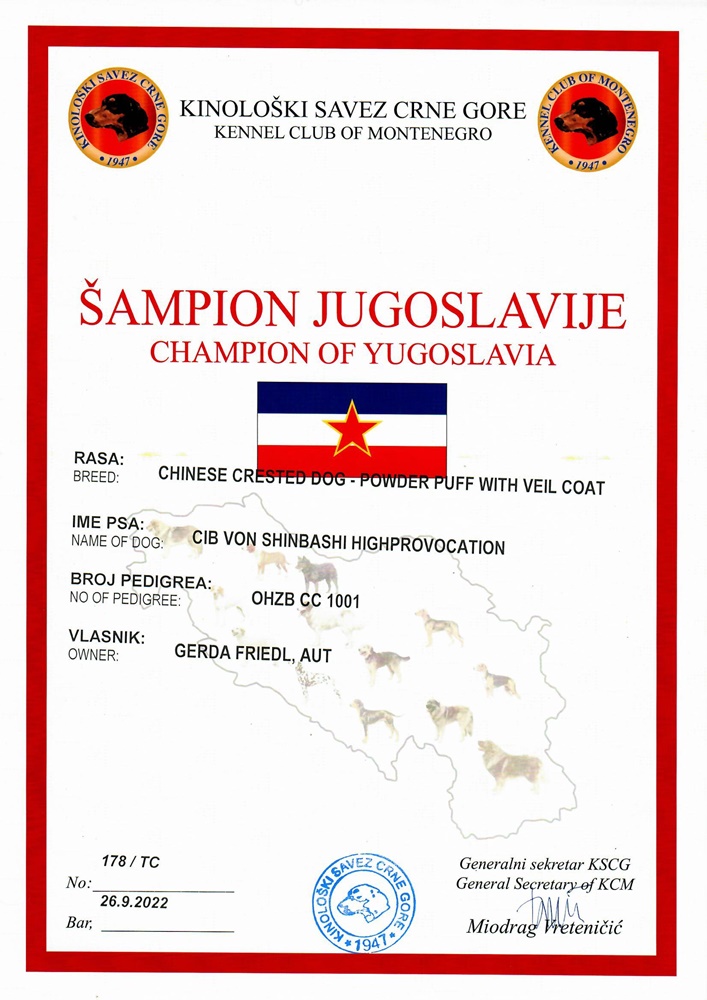 Champion Jugoslawien