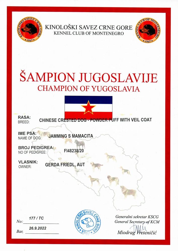 Champion Jugoslawien
