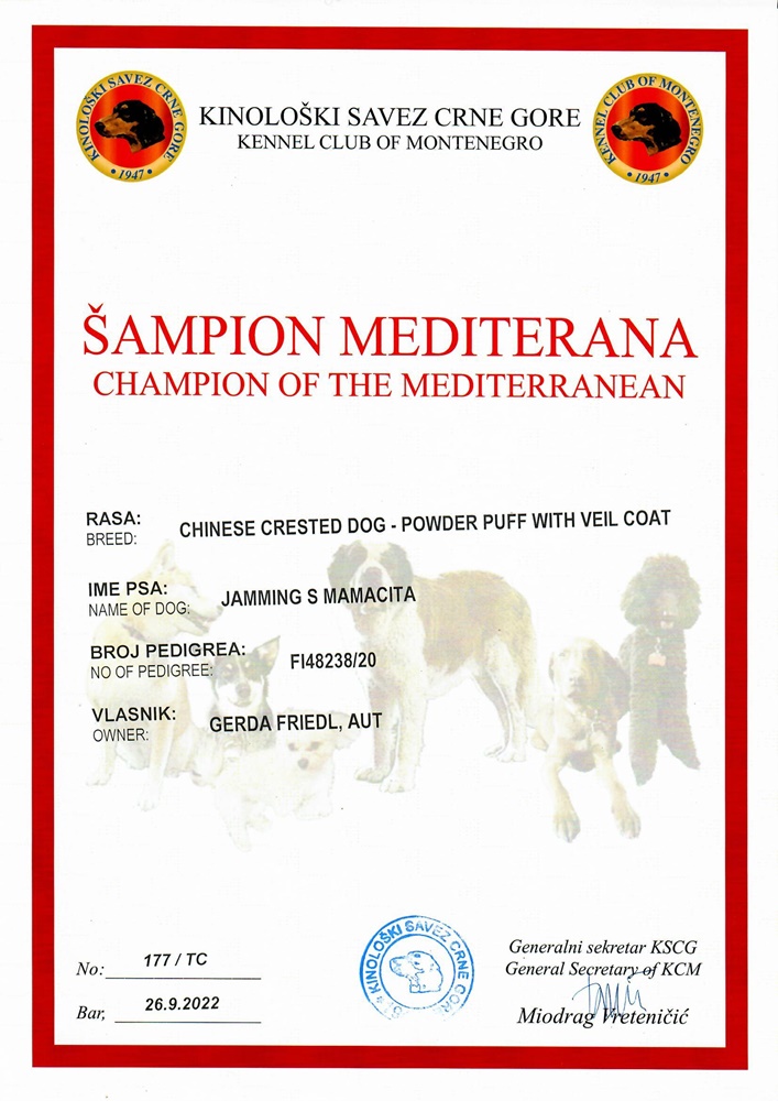 Champion Mediterran